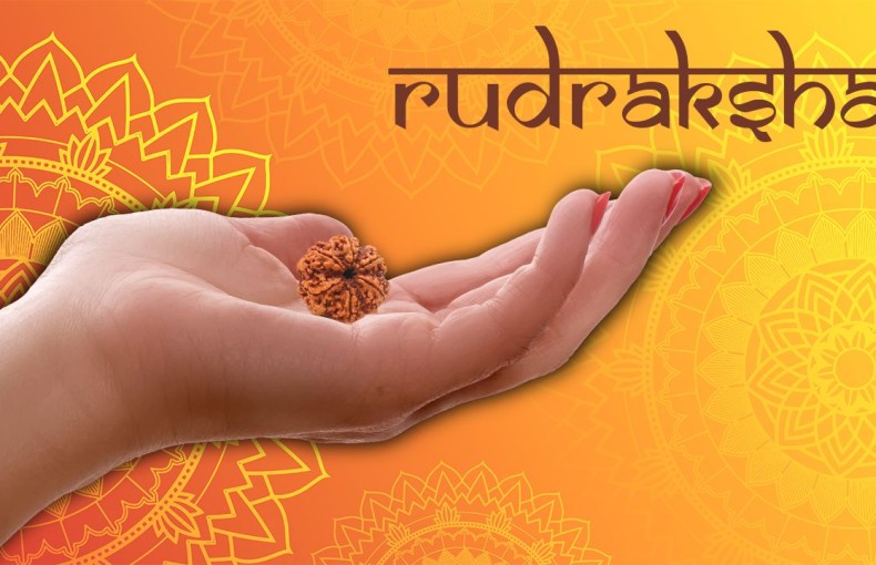 Why Wearing Rudraksha is Important in Today’s Time?